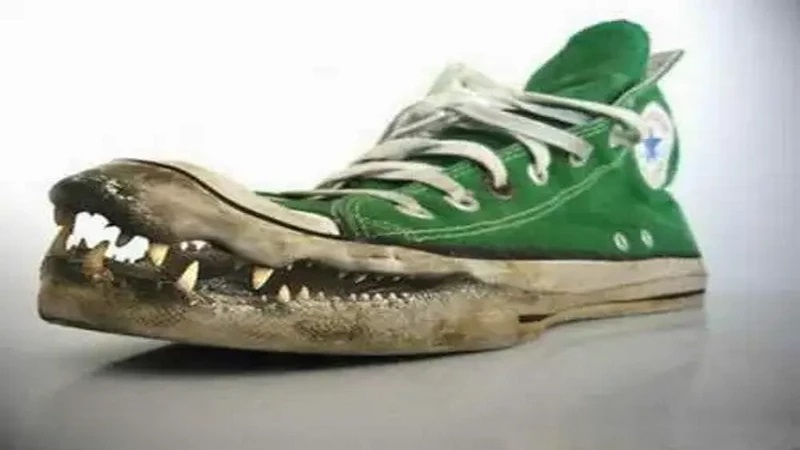 کفش تمساح