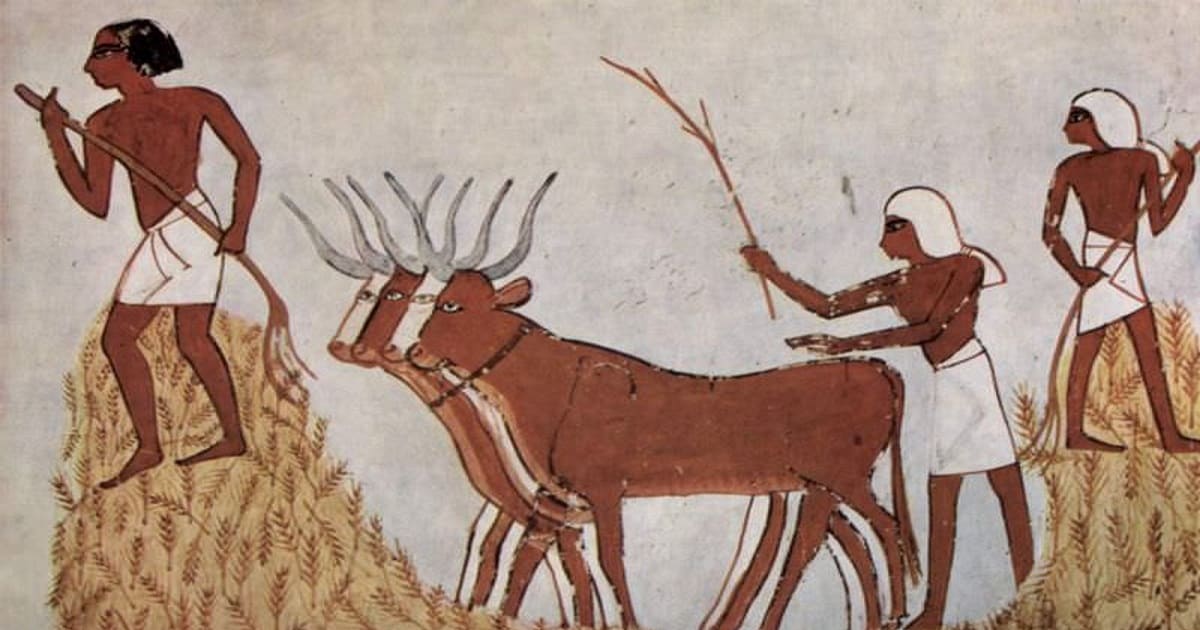 مصری ها اولین انسان هایی بودند که کفش پوشیدند