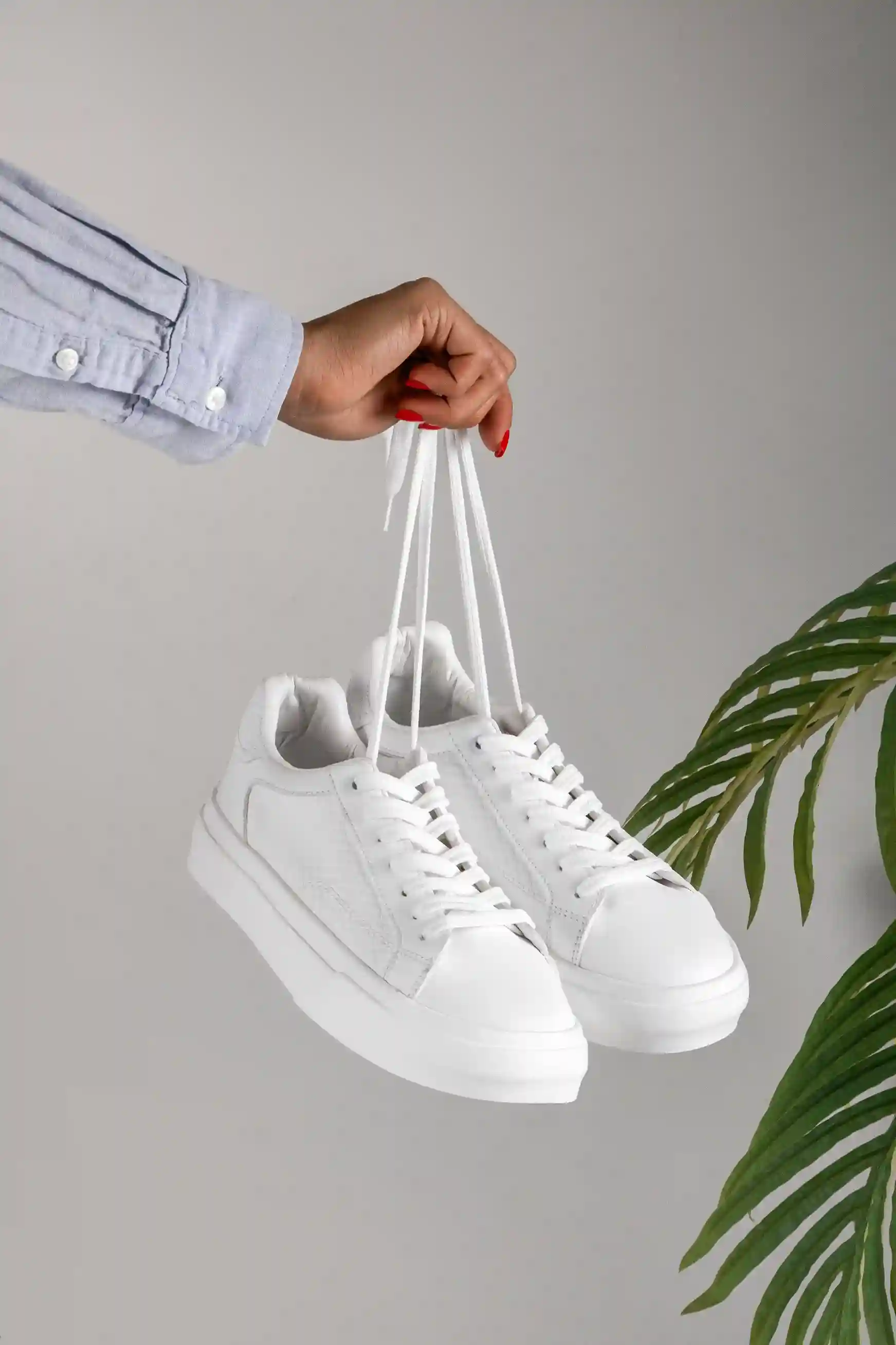 کتونی گلاره