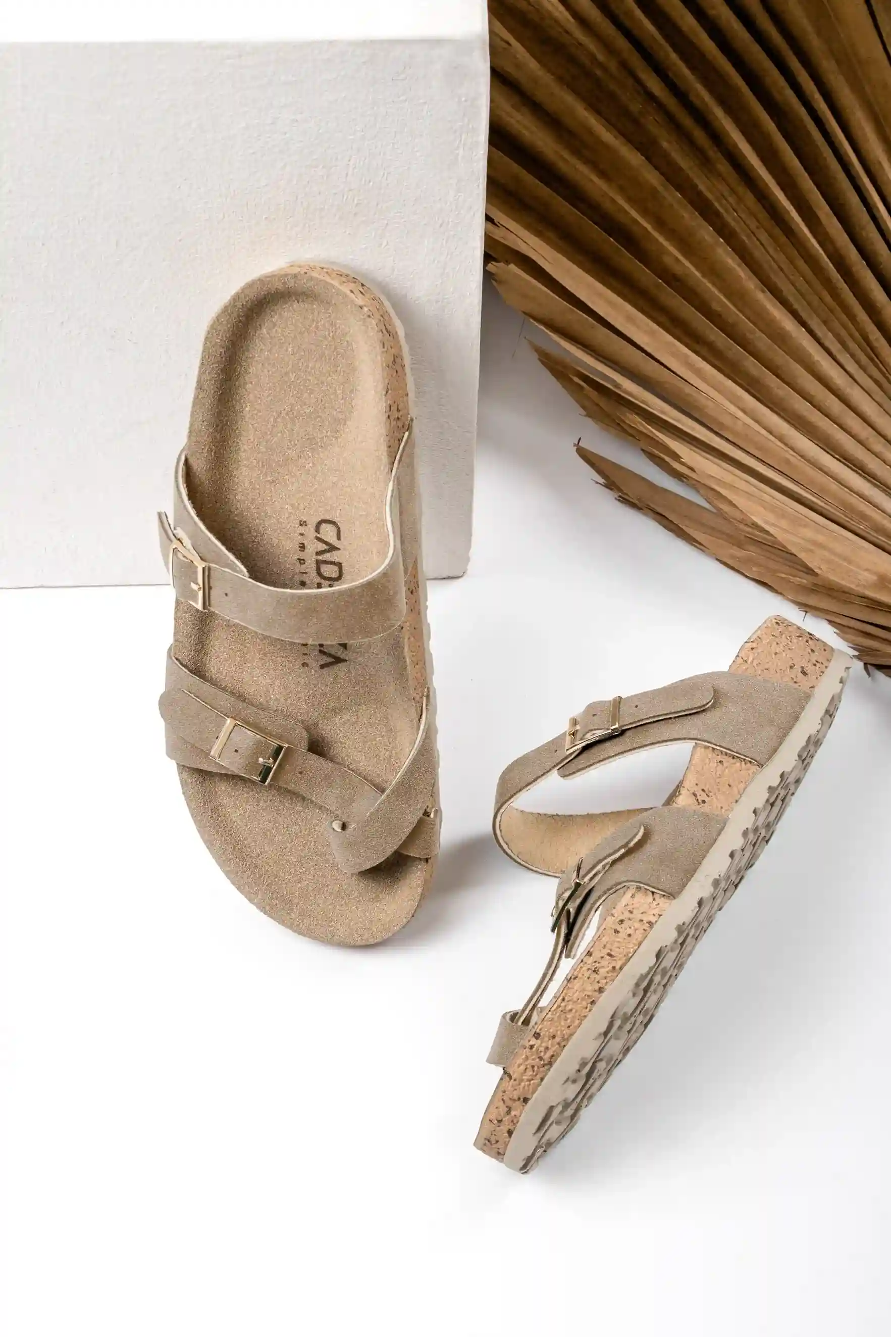 صندل طبی شبنم